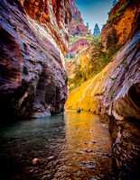 Wading in Virgin River - Zion